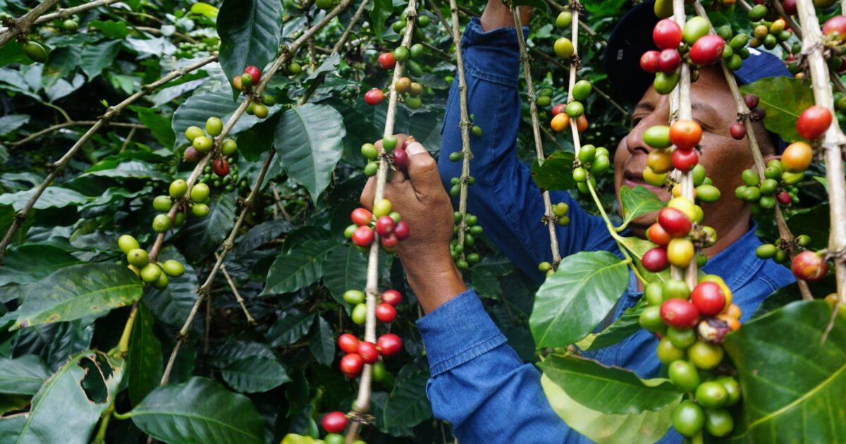 Φιλοσοφία Coffee Island